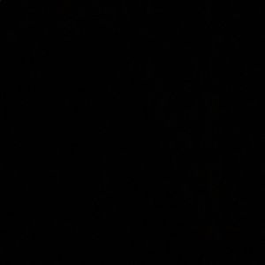 Meet your Posher, Bobby